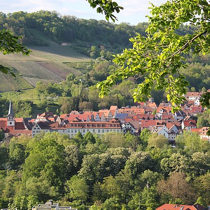 Ansicht der Stadt Ingelfingen 